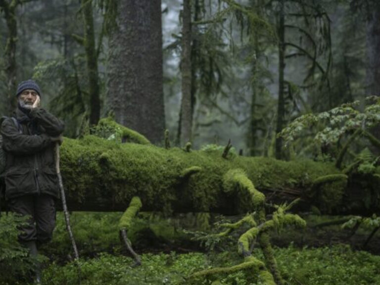 Zur Veranstaltung „Das Flüstern der Wälder – Letzter Film in der Reihe“