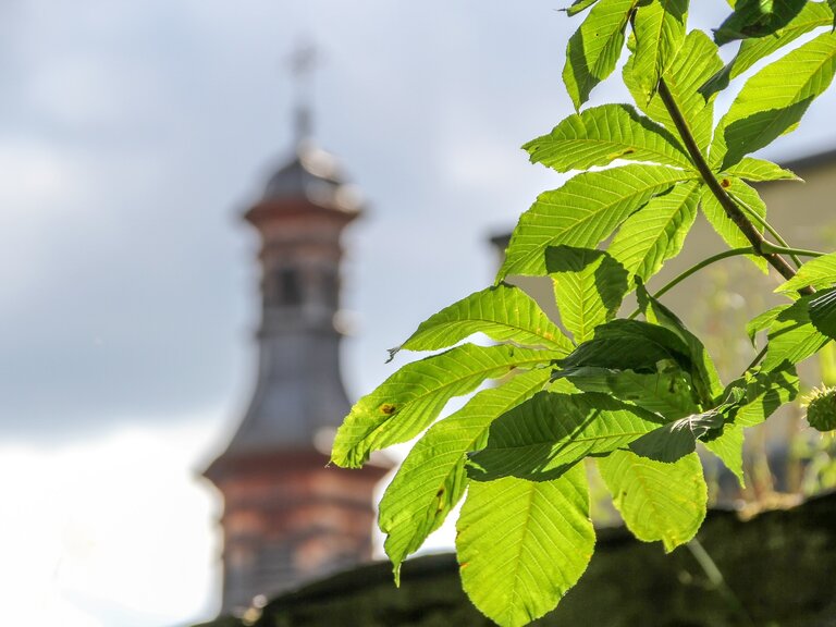 Zur Veranstaltung „Biodiversität – Warum Vielfalt so wertvoll ist“