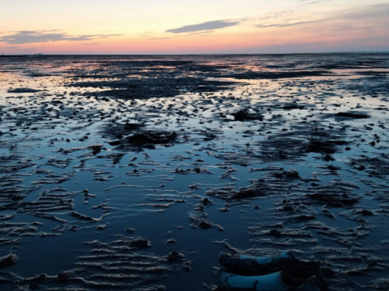 Zur Veranstaltung „Ich bin dann mal hier – Re:burn für Weltrettende“