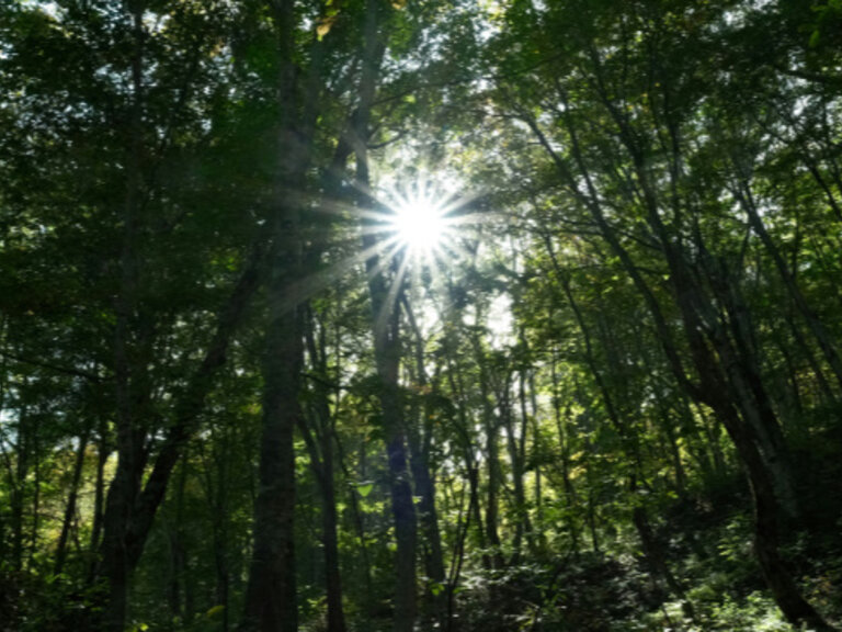 Zur Veranstaltung „Transformation und Theologie? – Nachdenken über Gott in der Klimakrise“